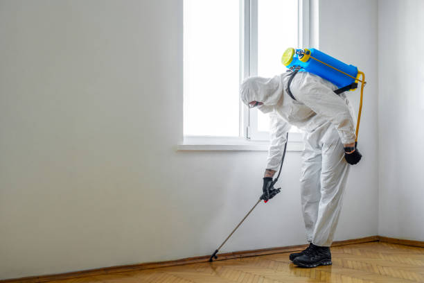 Best Local Pest Control Services  in Paris, MO