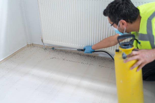 Best Exterminator Services  in Paris, MO