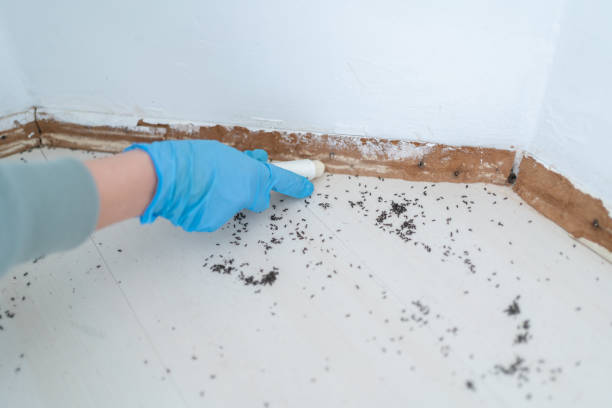 Pest Control Cost in Paris, MO
