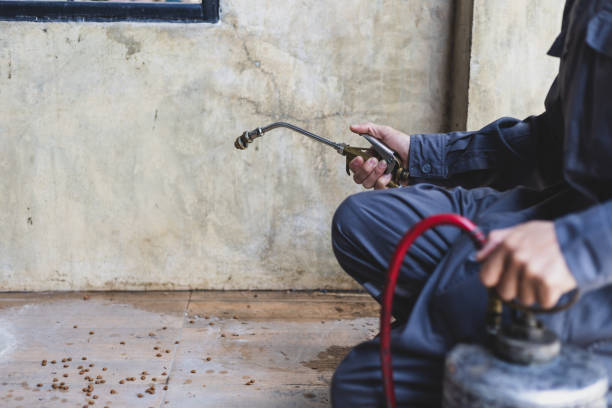 Best Mosquito Control Services  in Paris, MO
